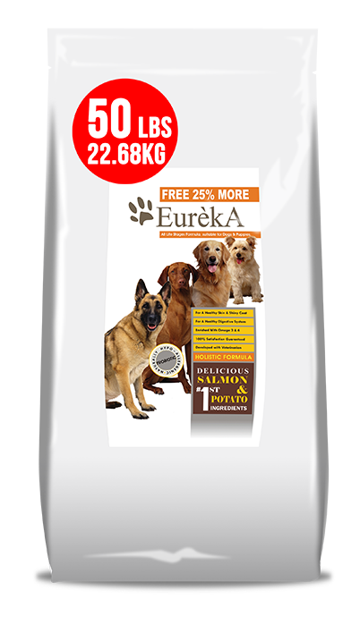 Produk - 16 - Best In Show - Best Pet Food For Your Pet